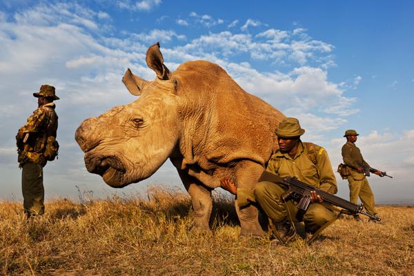 Ol Pejeta, Masai Mara Safari & Beach Romantic Honeymoon Safari - 13 Days 1 Protecting Ol Pejeta Rhino's Kenya