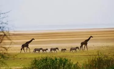 Lake Manyara, Tanzania