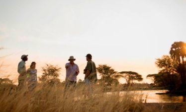 Katavi River Sunset Sundower, Katavi National Park