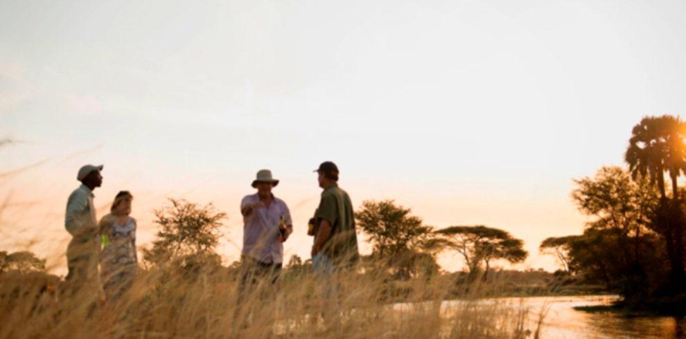 Katavi River Sunset Sundower, Katavi National Park