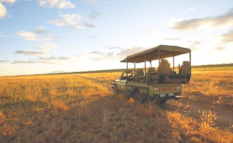 Tarangire National Park Game Drive