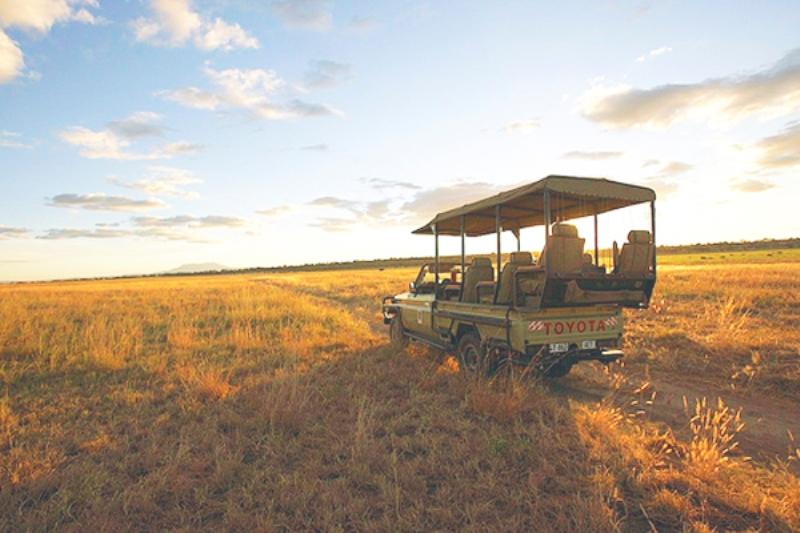 Tarangire National Park Game Drive