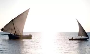 Zanzibar Traditional Dhows in the sunset