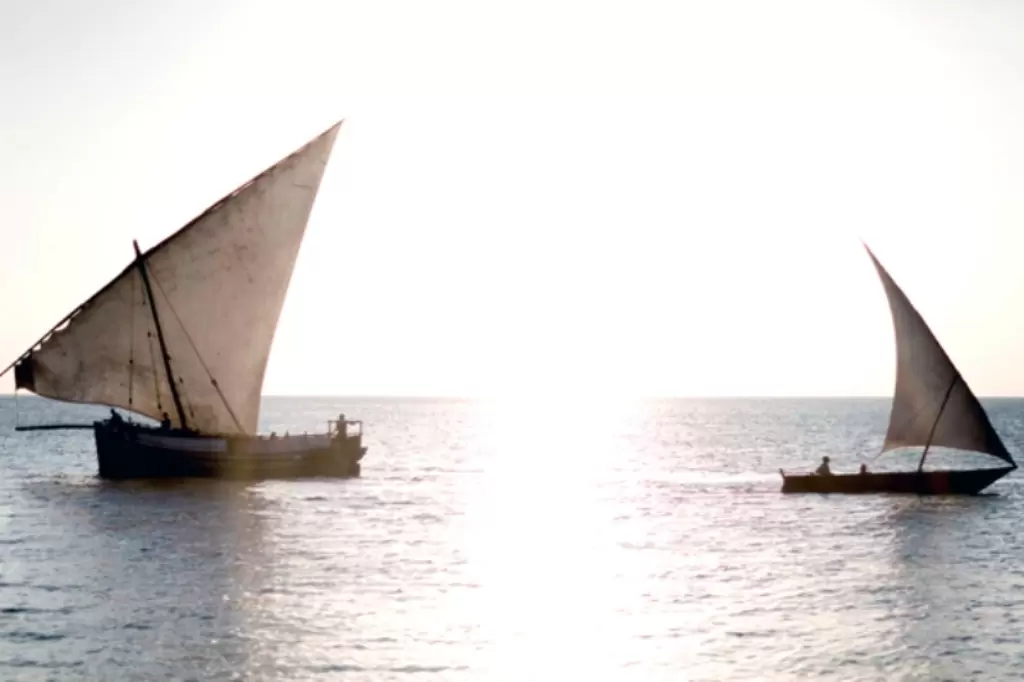 Zanzibar Traditional Dhows in the sunset