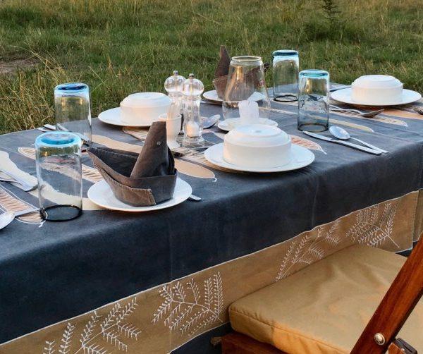 Bush Lunch / Lunch picnic
