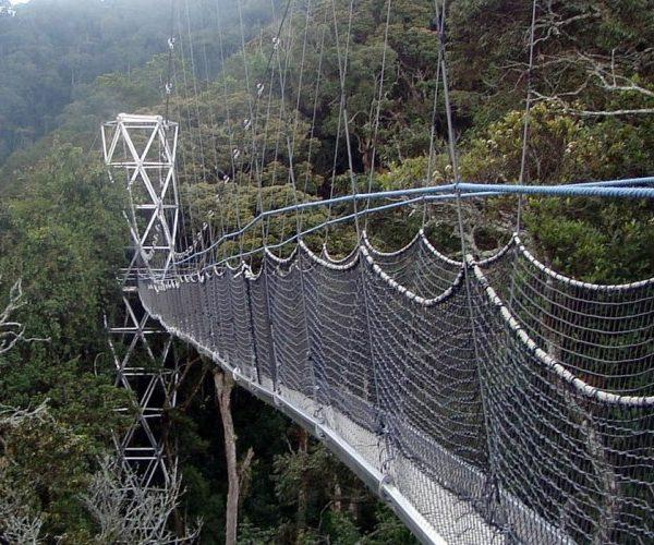 Canopy Walk Nyungwe National Park