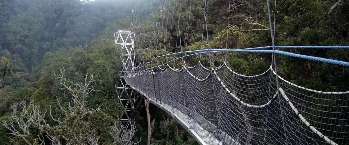 Canopy Walk Nyungwe National Park