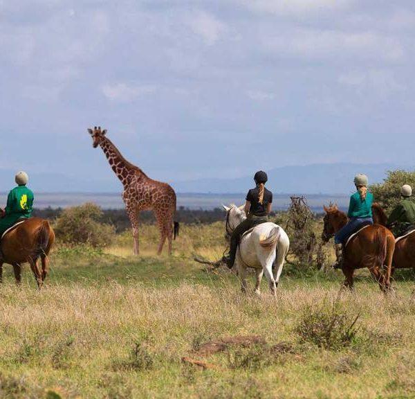 Elewana Loisaba Tented Camp Activities Horse Riding in The Conservancy