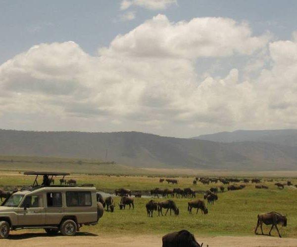 Land Cruiser Safari Vehicle Ngorongoro Crater Tanzania