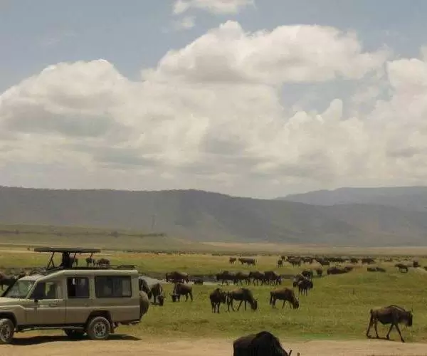 Land Cruiser Safari Vehicle Ngorongoro Crater Tanzania