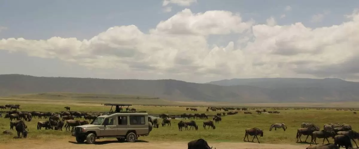 Land Cruiser Safari Vehicle Ngorongoro Crater Tanzania