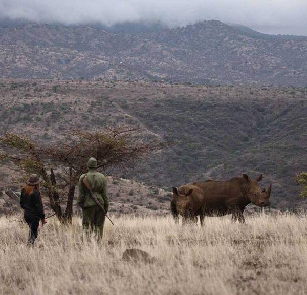 Lewa Safari Camp Bush Walk with Rhino