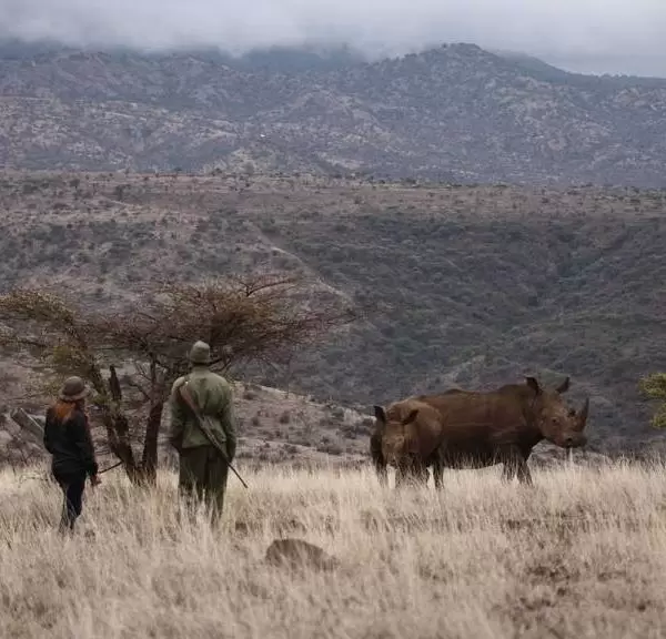 Lewa Safari Camp Bush Walk with Rhino