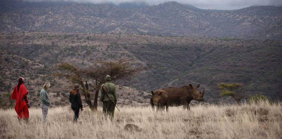 Lewa Safari Camp Bush Walk Rhino