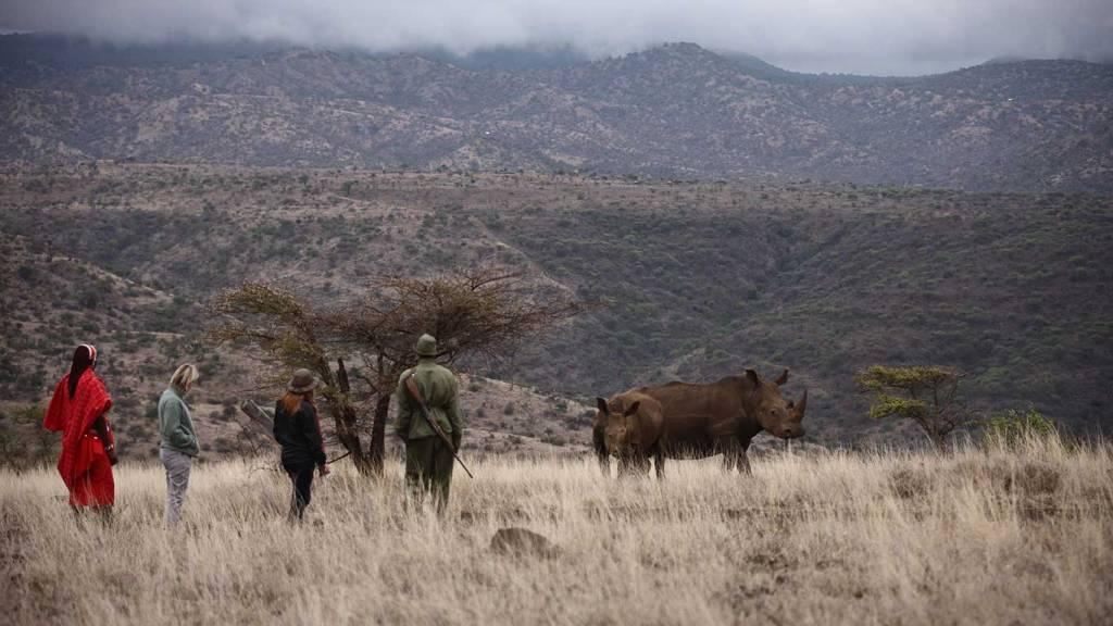 Lewa Safari Camp Bush Walk with Rhino