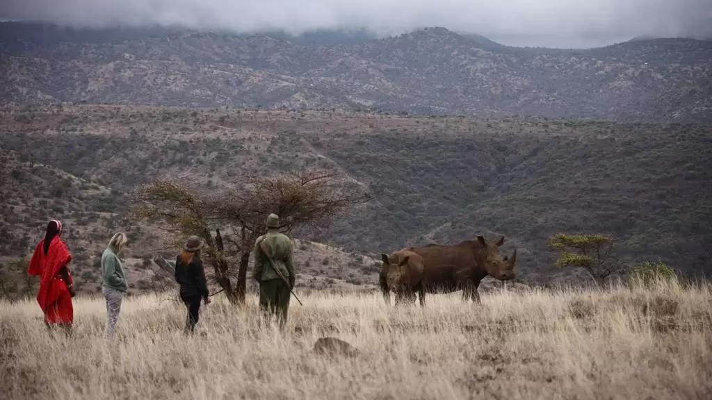 Lewa Safari Camp Bush Walk with Rhino