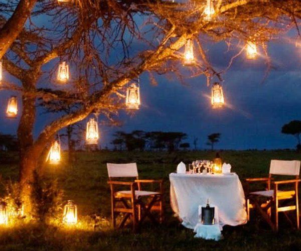 Bush Dinner / Dinner Picnic