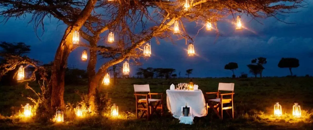 Bush Dinner / Dinner Picnic