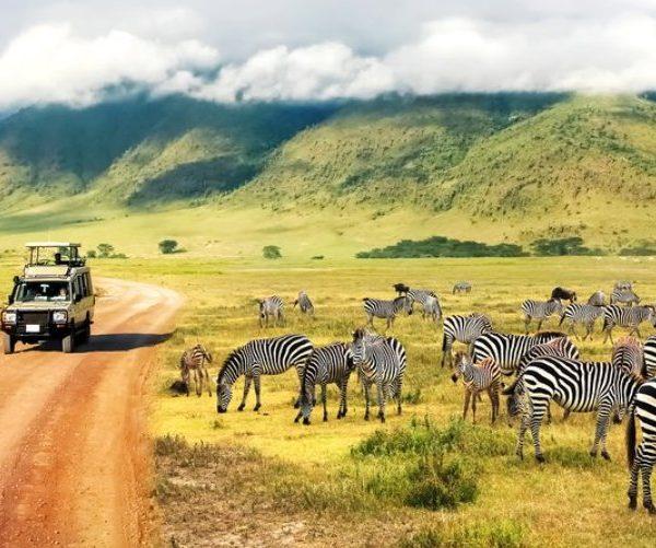 Ngorongoro Crater