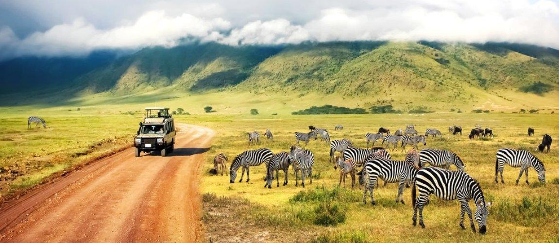 Ngorongoro Crater