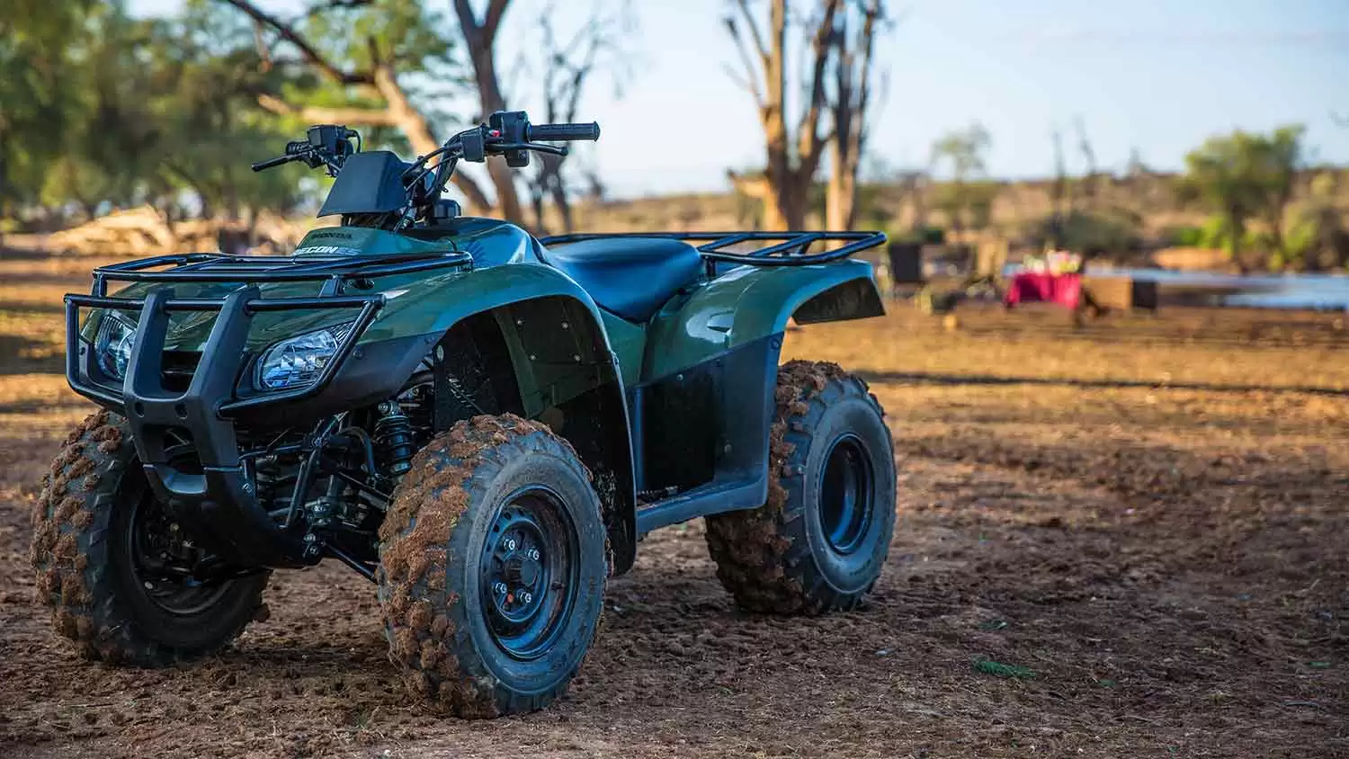 Sasaab Bush Breakfast and Quadbike