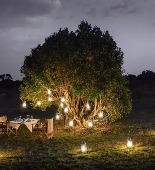 Sanctuary Olonana Sundowner