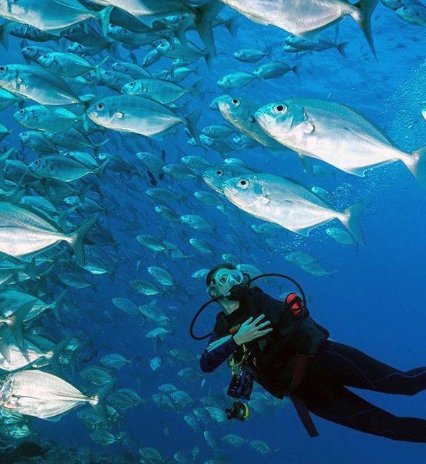 Scuba Diving Adventures in Africa