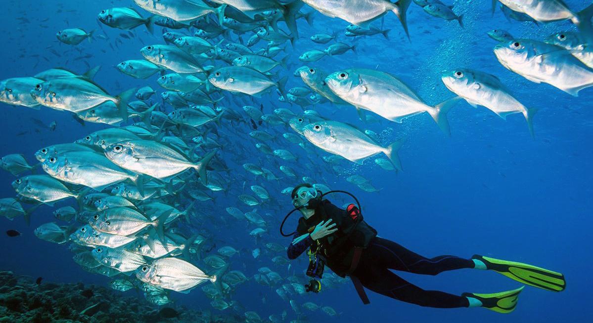 Scuba Diving Adventures in Africa