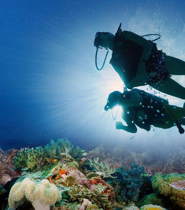 Scuba Diving Adventures in South Africa