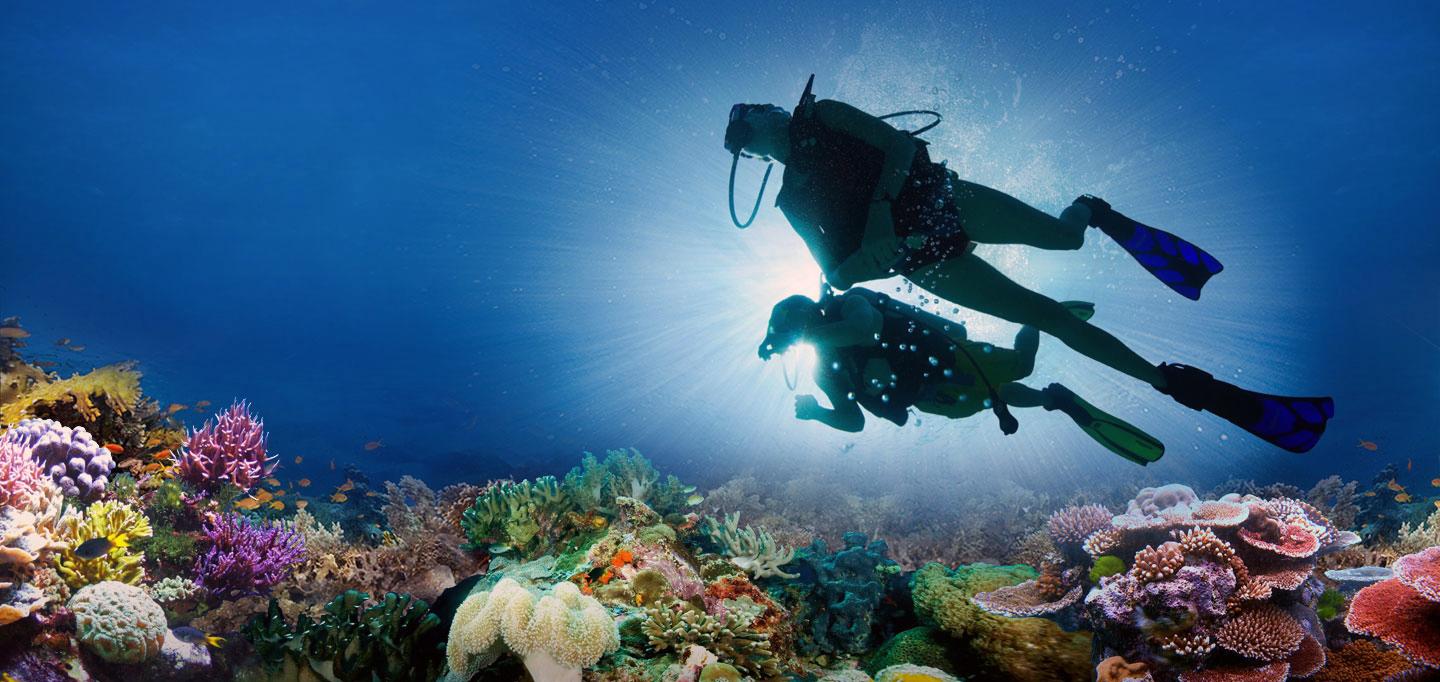 Scuba Diving Adventures in South Africa