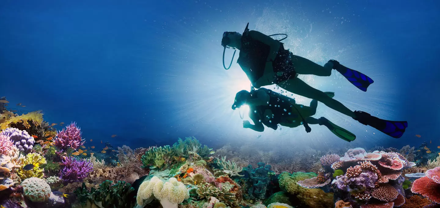 Scuba Diving Adventures in South Africa
