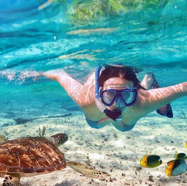 Snorkeling Kenya
