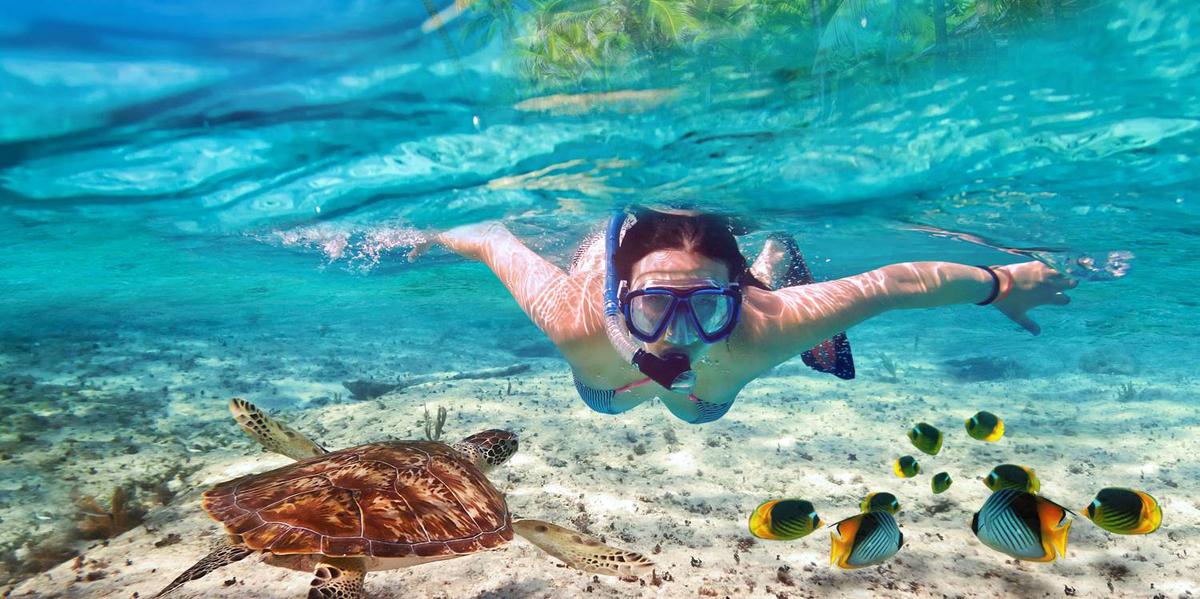 Snorkeling Kenya
