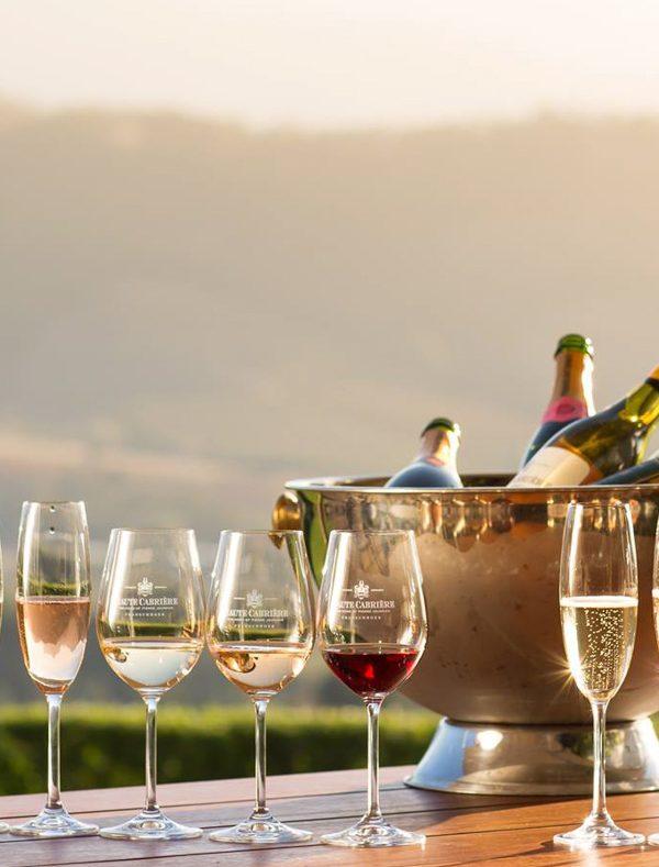 Wine Tour Africa