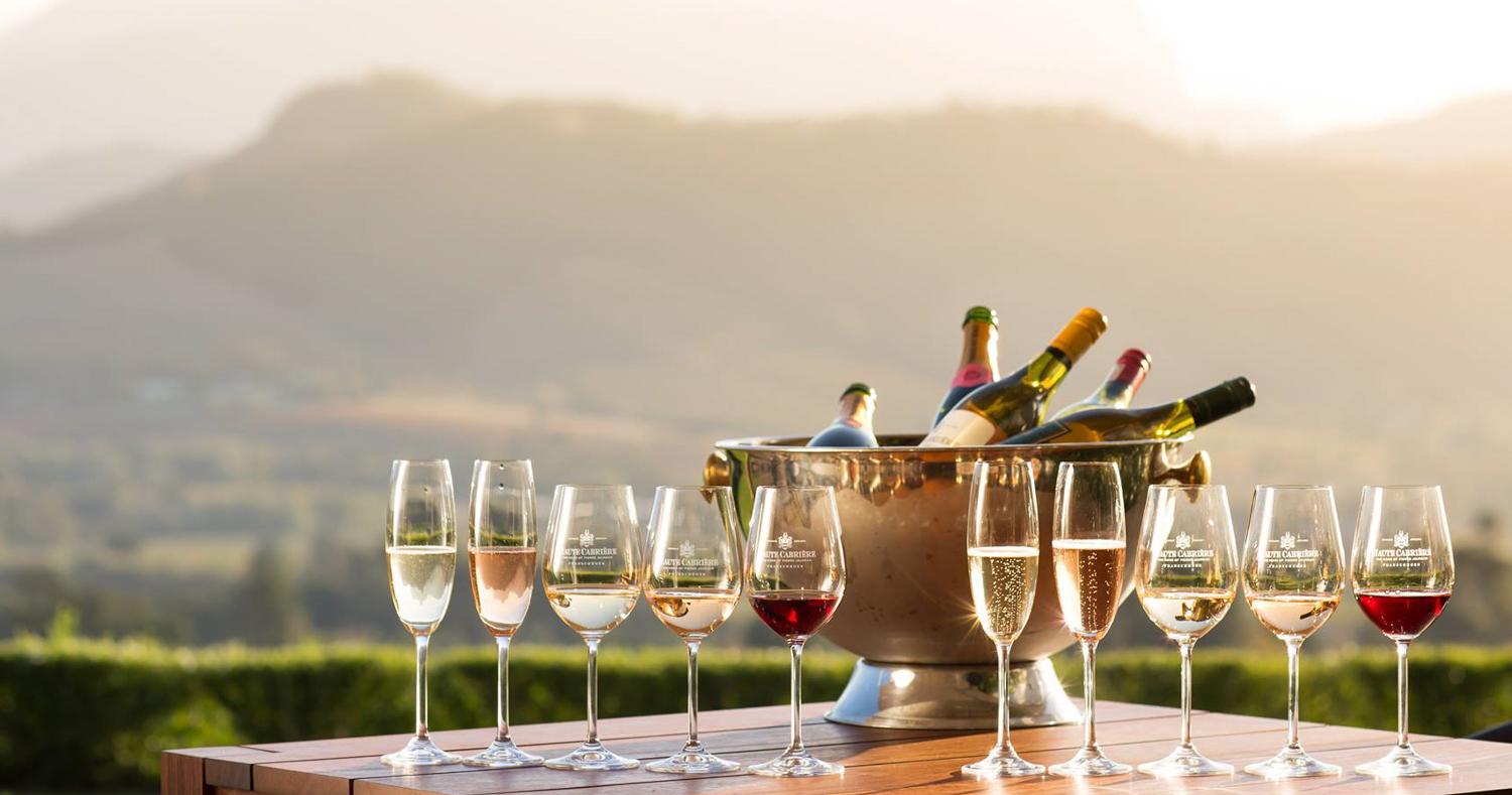 Wine Tour Africa